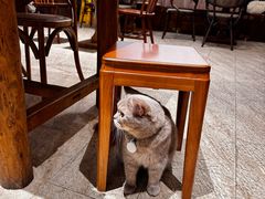 -MIMO CAFE(沙头角店)