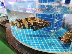 -海旺小海鲜大排档(冠亚星城店)