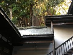 -聚春园驿馆(福州三坊七巷店)