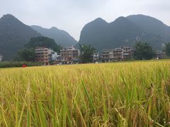 -靖西鹅泉风景区