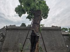 -保定直隶总督署博物馆
