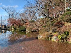 -有栖山 清光院 清水寺