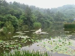 -天目湖山水园