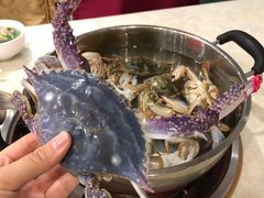 -春华海鲜城(广场西苑店)