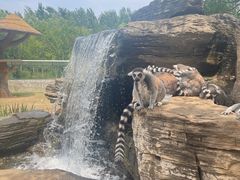 -秦皇岛野生动物园