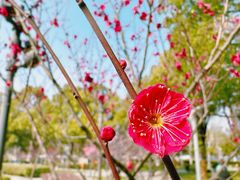 -天鹅湖体育公园