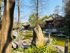 -顺峰山公园