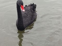 -苏州吴中太湖旅游区