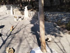 -四门塔风景区