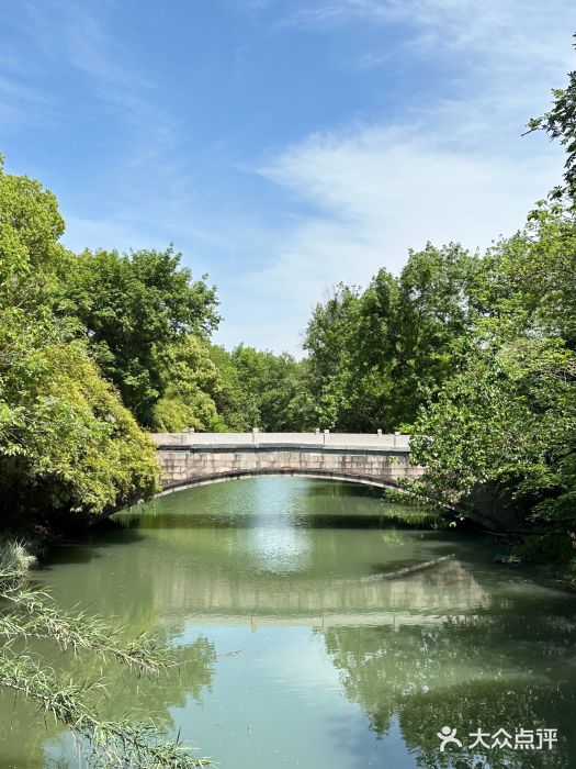 西溪国家湿地公园图片