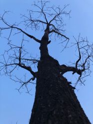 -大望京儿童游乐场