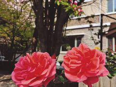 -芦庄子桂顺斋(和平路总店)