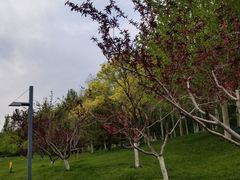 -五环公园