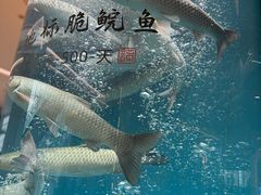 -谭厨中山传家菜.乳鸽.脆鲩鱼(华强北中航城店)
