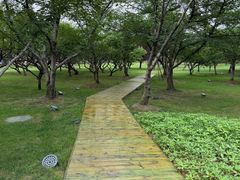 -苏州上方山国家森林公园
