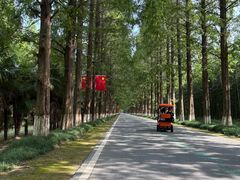 -黄海国家森林公园