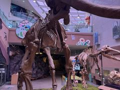 -陕西自然博物馆