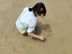-日照海滨国家森林公园