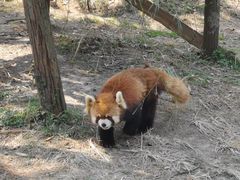 -宁波野生动物园