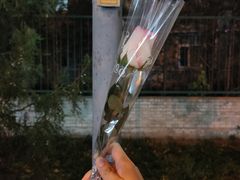 -北京理工大学(中关村校区)