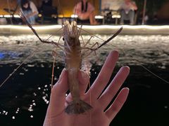 -DGE季风钓虾营地·团建·聚会