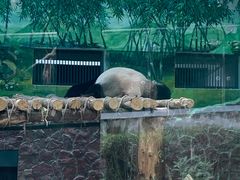 -黔灵山公园