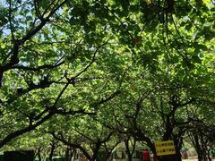 -亲兄弟真人CS团建拓展基地