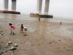 -日照海滨国家森林公园