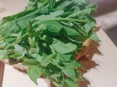 豌豆-锦城印象火锅(天府三街店)