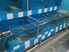 -北国超市(益元店)