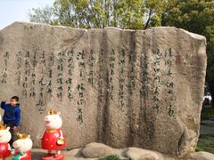 -溱湖国家湿地公园