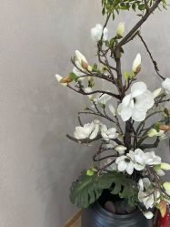 -酉嘉瑜伽YO+YOGA