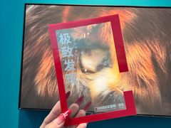 -福州海峡文化艺术中心