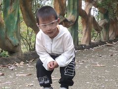 -都江堰玫瑰花溪谷