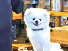 -重庆印象老火锅(梅林店)