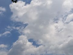 -广州市流溪河国家森林公园