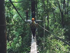 -清迈丛林飞跃 JungleFlight