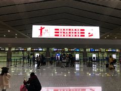 -张家界荷花国际机场