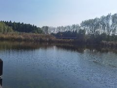 -溱湖国家湿地公园