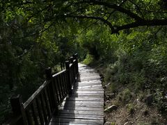 -北京十三陵国家森林公园蟒山景区