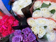 -双季花艺园艺市场(浦东店)