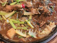 -老板恋上鱼(恒隆广场店)