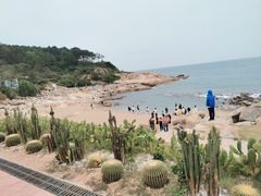 -广东惠东海龟国家级自然保护区