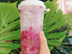 -NOBiBi