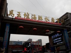 android_upload_pic-马王堆海鲜水产市场