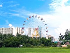 -万绿园