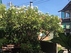 -Dash Teak House