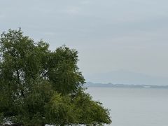 -深圳湾万象城