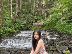 -峡谷浮石林景区