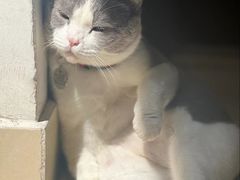 -后院儿·精酿·塔罗Happy Bar